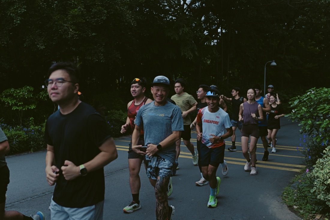The pack running together on a shaded stretch of the route